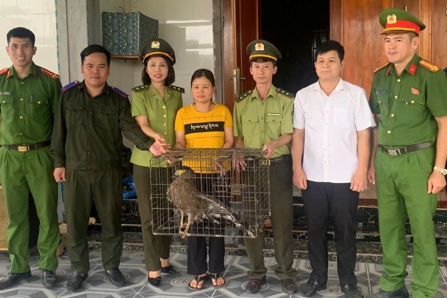 Hà Tĩnh: Người dân giao nộp 2 cá thể động vật hoang dã quý hiếm