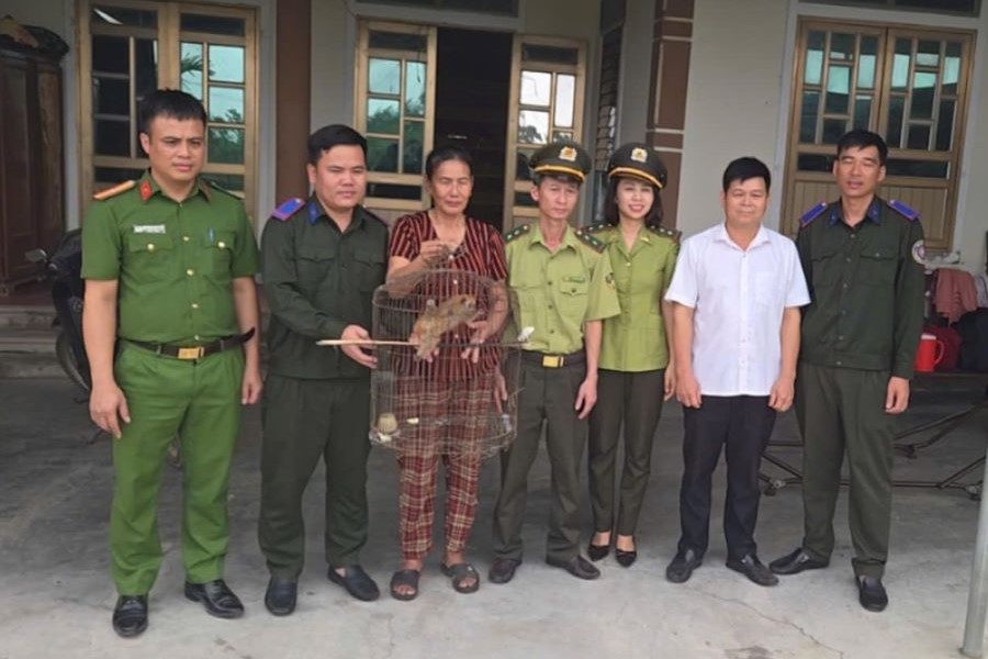 Người d&acirc;n giao nộp c&aacute; thể culi nhỏ cho lực lượng chức năng