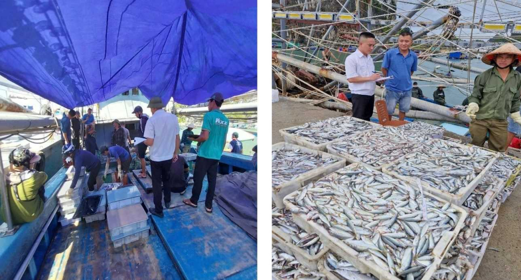 Đến hết quý II, 100% tàu cá ra, vào cảng được kiểm soát, cập nhật và kê khai sản lượng khai thác trên hệ thống eCDT