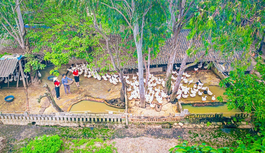 Agribank hiện l&agrave; ng&acirc;n h&agrave;ng thương mại Nh&agrave; nước c&oacute; quy m&ocirc; t&iacute;n dụng &ldquo;tam n&ocirc;ng&rdquo; lớn nhất hệ thống, với khoảng 65% dư nợ tập trung v&agrave;o lĩnh vực n&ocirc;ng nghiệp, n&ocirc;ng th&ocirc;n -&nbsp;nền tảng quan trọng để triển khai t&agrave;i ch&iacute;nh xanh v&agrave; ph&aacute;t triển bền vững.