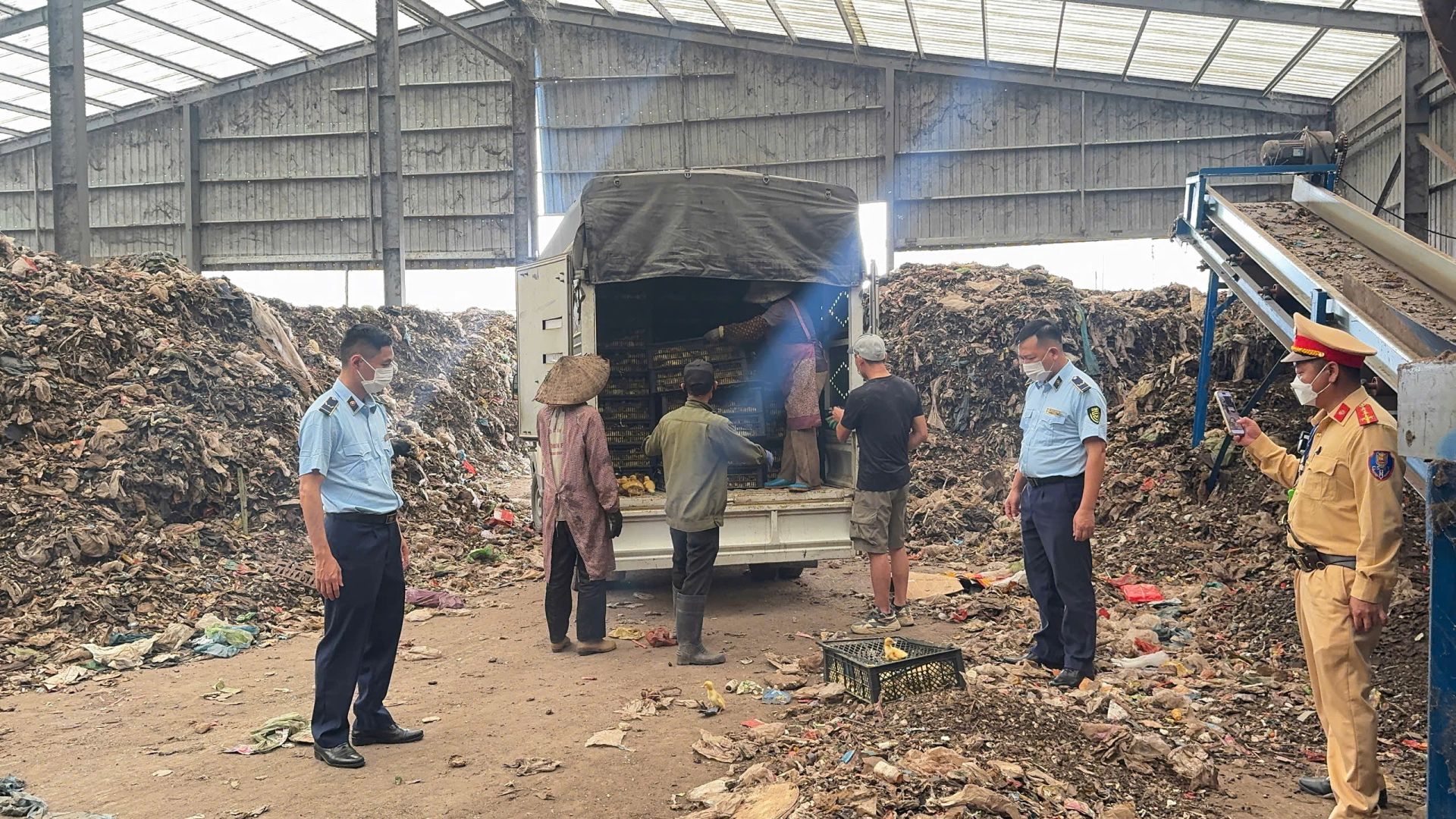 Lực lượng chức năng tiến h&agrave;nh ti&ecirc;u hủy