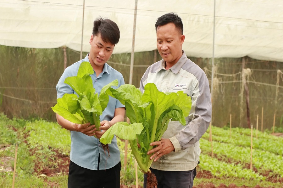 Nông dân thời đại mới: Hiểu đất – giỏi công nghệ – tư duy như doanh nhân