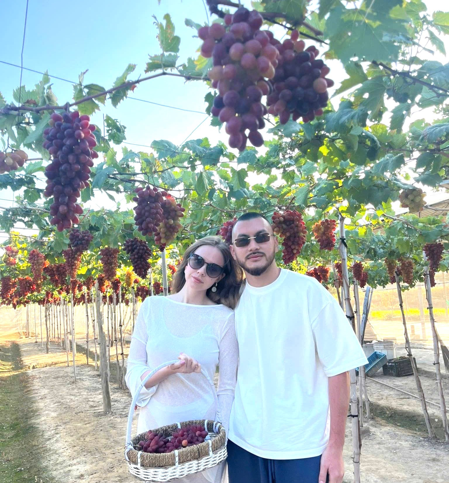 Du kh&aacute;ch trải nghiệm kh&aacute;m ph&aacute; c&aacute;c vườn nho ở x&atilde; Li&ecirc;n Hương