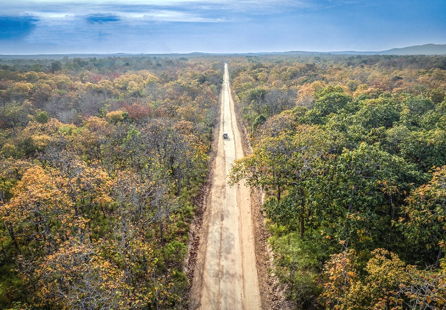 Đắk Lắk: Gần 200 vụ xâm hại tài nguyên rừng bị xử lý