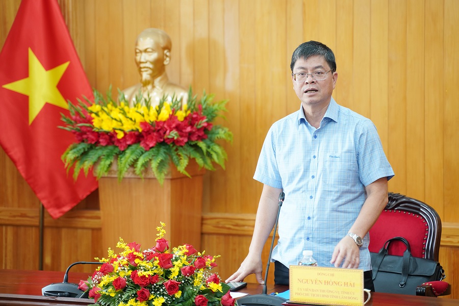 Ph&oacute; Chủ tịch UBND tỉnh Nguyễn Hồng Hải kết luận buổi l&agrave;m việc