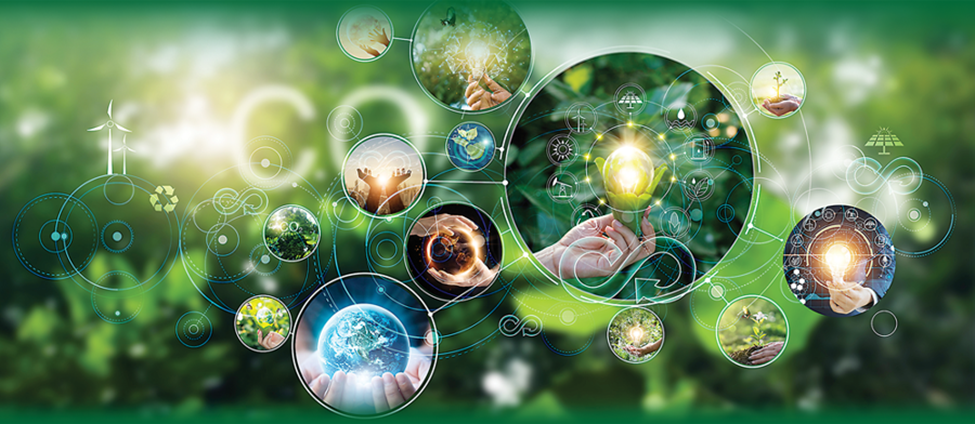 Ph&aacute;t triển kinh tế tuần ho&agrave;n mở ra nhiều cơ hội cho c&aacute;c doanh nghiệp. Ảnh minh họa