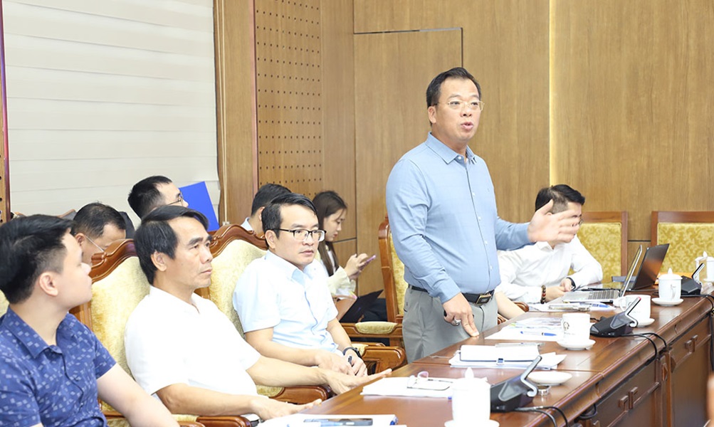 Đại diện đơn vị tư vấn ph&aacute;t biểu tại cuộc họp.