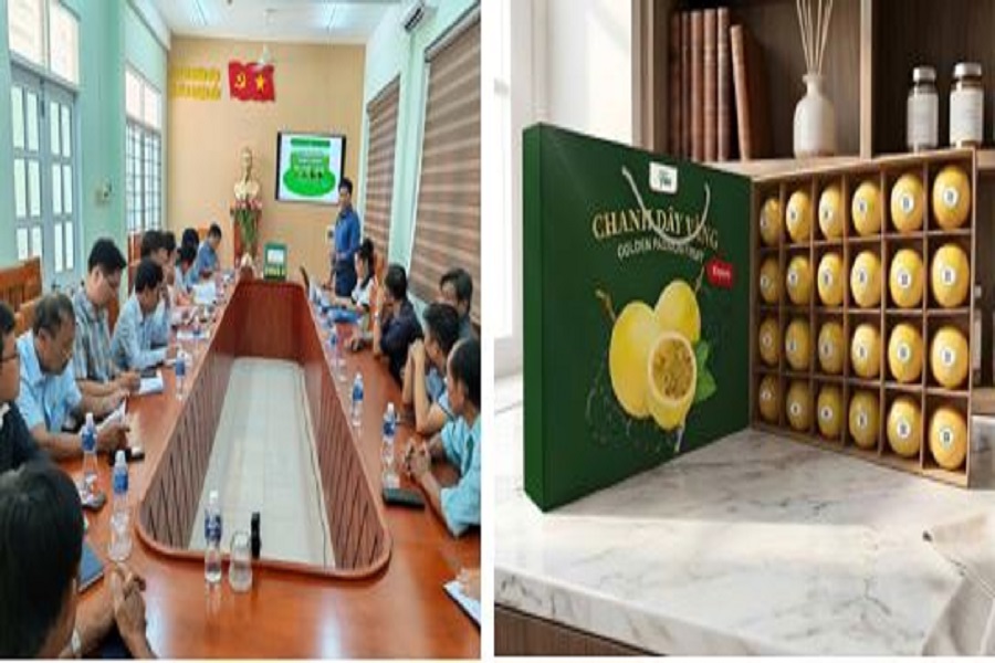 Chủ Trang trại Eden - Farm đang b&aacute;o c&aacute;o thuyết minh dự &aacute;n li&ecirc;n kết trồng chanh d&acirc;y v&agrave;ng tại UBND x&atilde; H&agrave;m Thuận Bắc v&agrave;o s&aacute;ng ng&agrave;y 16/4/2026