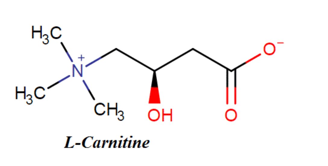 L-Carnitine fumarate gi&uacute;p t&aacute;i tạo da, ngăn mề đay, dị ứng t&aacute;i ph&aacute;t
