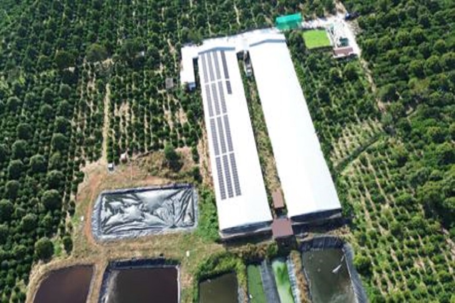 Trang trại Chăn nu&ocirc;i heo của Nguyễn Quốc Việt, th&ocirc;n Đắk Lưu, x&atilde; Kr&ocirc;ng N&ocirc;, tỉnh L&acirc;m Đồng