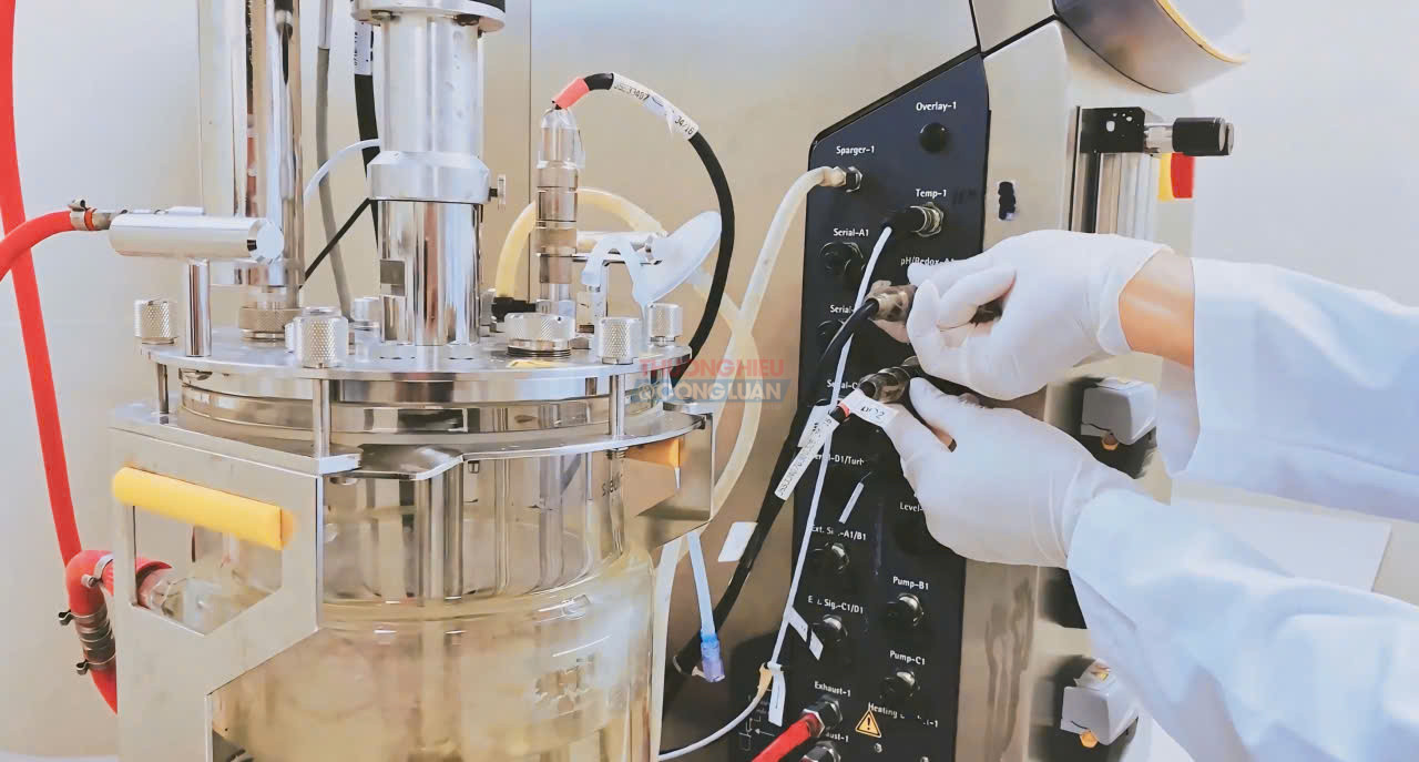 Doanh nghiệp trước “tam trụ” chuyển đổi: Cơ hội tăng tốc từ số hóa, xanh hóa và đổi mới sáng tạo