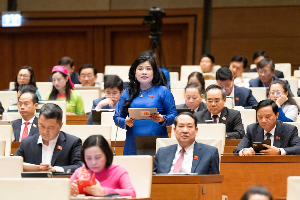 Đại biểu Đ&agrave;ng Thị Mỹ Hương n&ecirc;u &yacute; kiến thảo luận.
