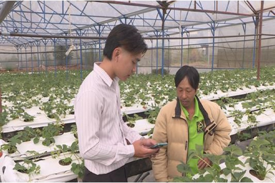 Anh Nguyễn Tuấn Dũng (&aacute;o trắng), phường L&acirc;m Vi&ecirc;n - Đ&agrave; Lạt chia sẻ kinh nghiệm ứng dụng chuyển đổi số trong sản xuất d&acirc;u t&acirc;y