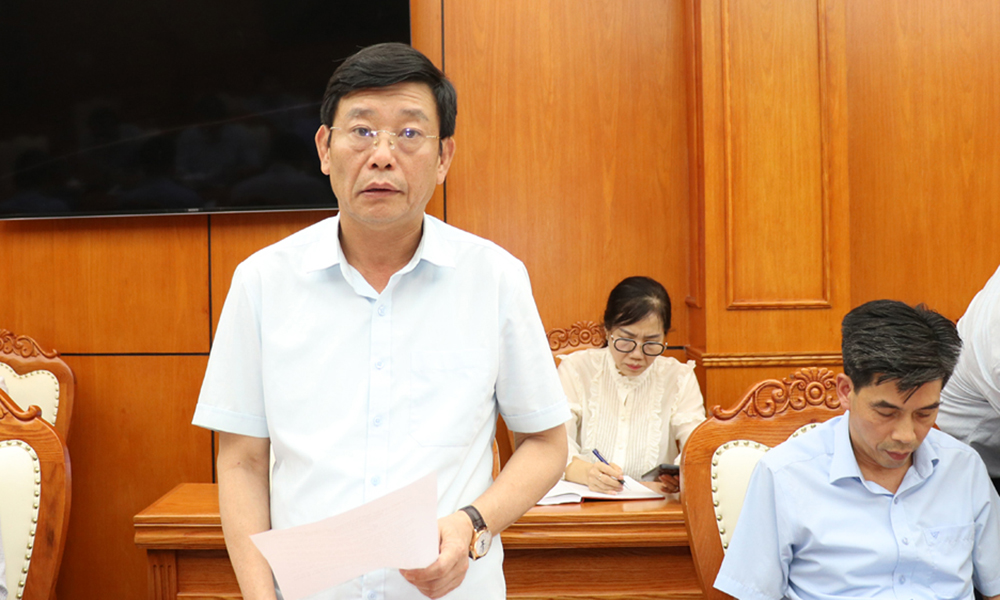 Đồng ch&iacute; Ng&ocirc; T&acirc;n Phượng ph&aacute;t biểu tại buổi l&agrave;m việc.