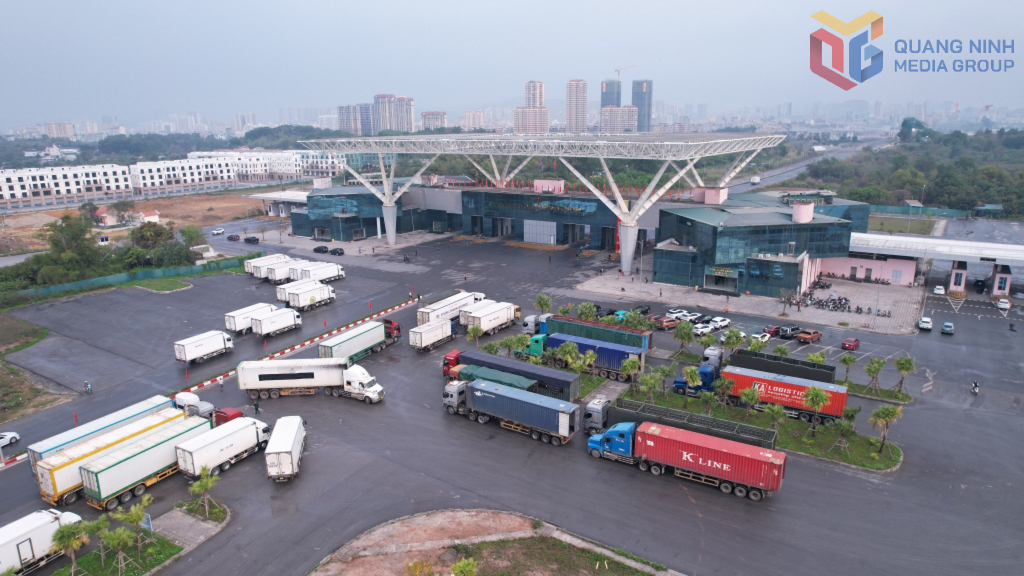 Hoạt động xuất nhập khẩu h&agrave;ng h&oacute;a qua khu vực cầu Bắc Lu&acirc;n II (Cửa khẩu quốc tế M&oacute;ng C&aacute;i)