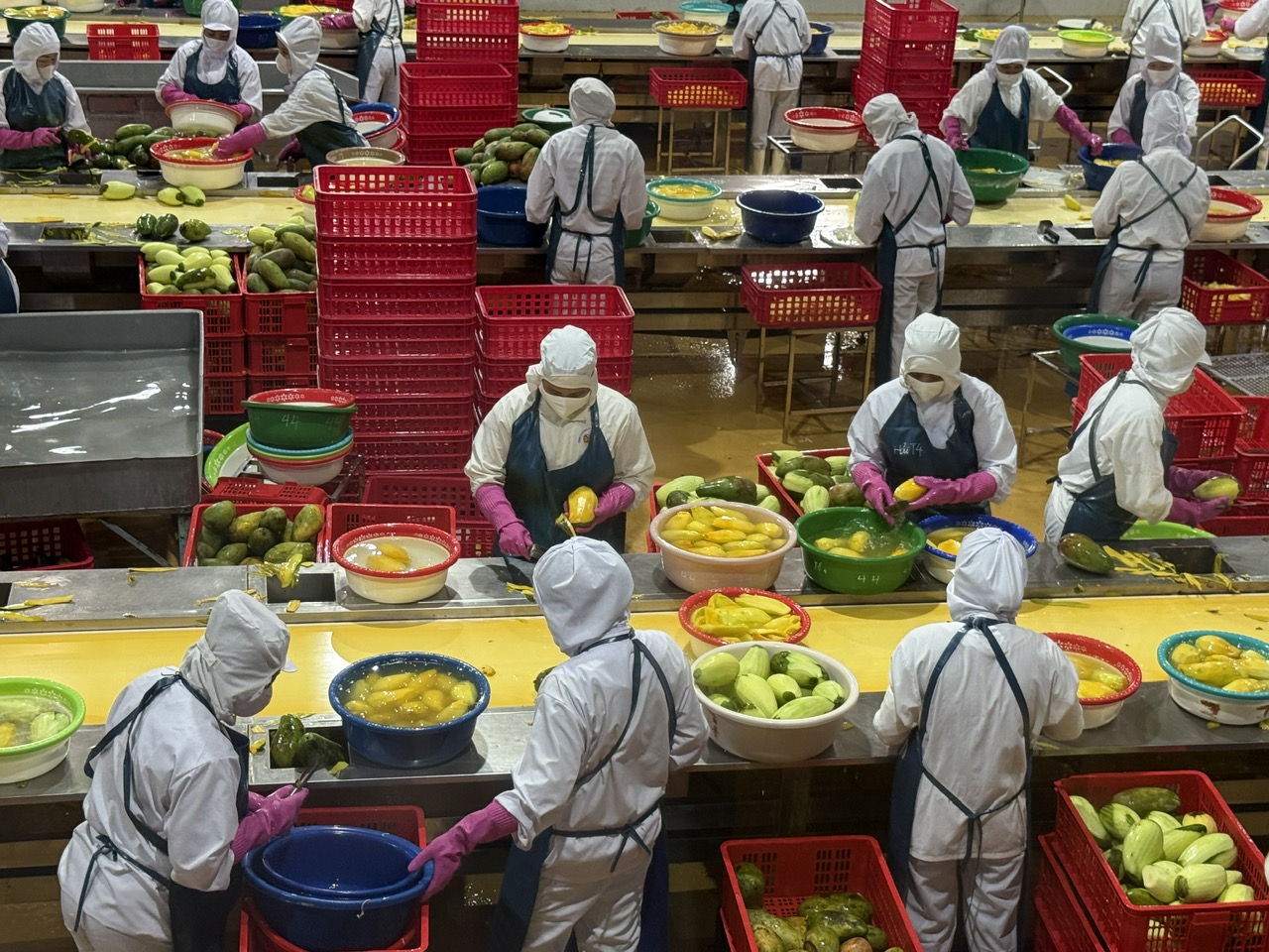 Nỗ lực giữ vững thị trường nông sản trọng điểm