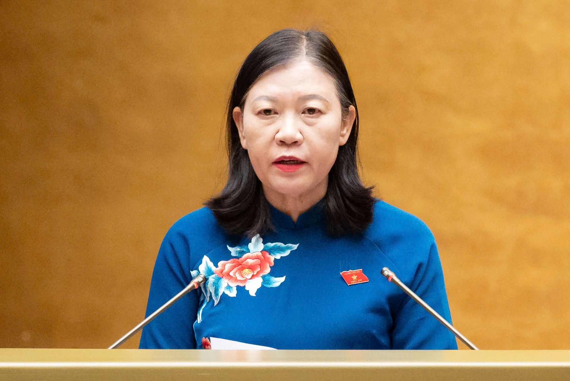 Chủ nhiệm Ủy ban D&acirc;n nguyện v&agrave; Gi&aacute;m s&aacute;t của Quốc hội tr&igrave;nh b&agrave;y B&aacute;o c&aacute;o giải tr&igrave;nh, tiếp thu &yacute; kiến c&aacute;c vị đại biểu Quốc hội, chỉnh l&yacute; dự thảo Nghị quyết về th&agrave;nh lập Đo&agrave;n gi&aacute;m s&aacute;t chuy&ecirc;n đề của Quốc hội năm 2027