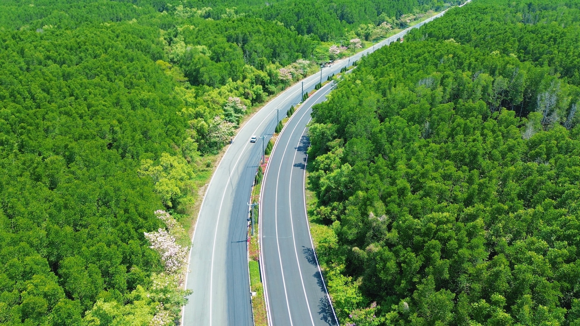 Cung đường chạy tại VnExpress Marathon Green Paradise Cần Giờ 2026.