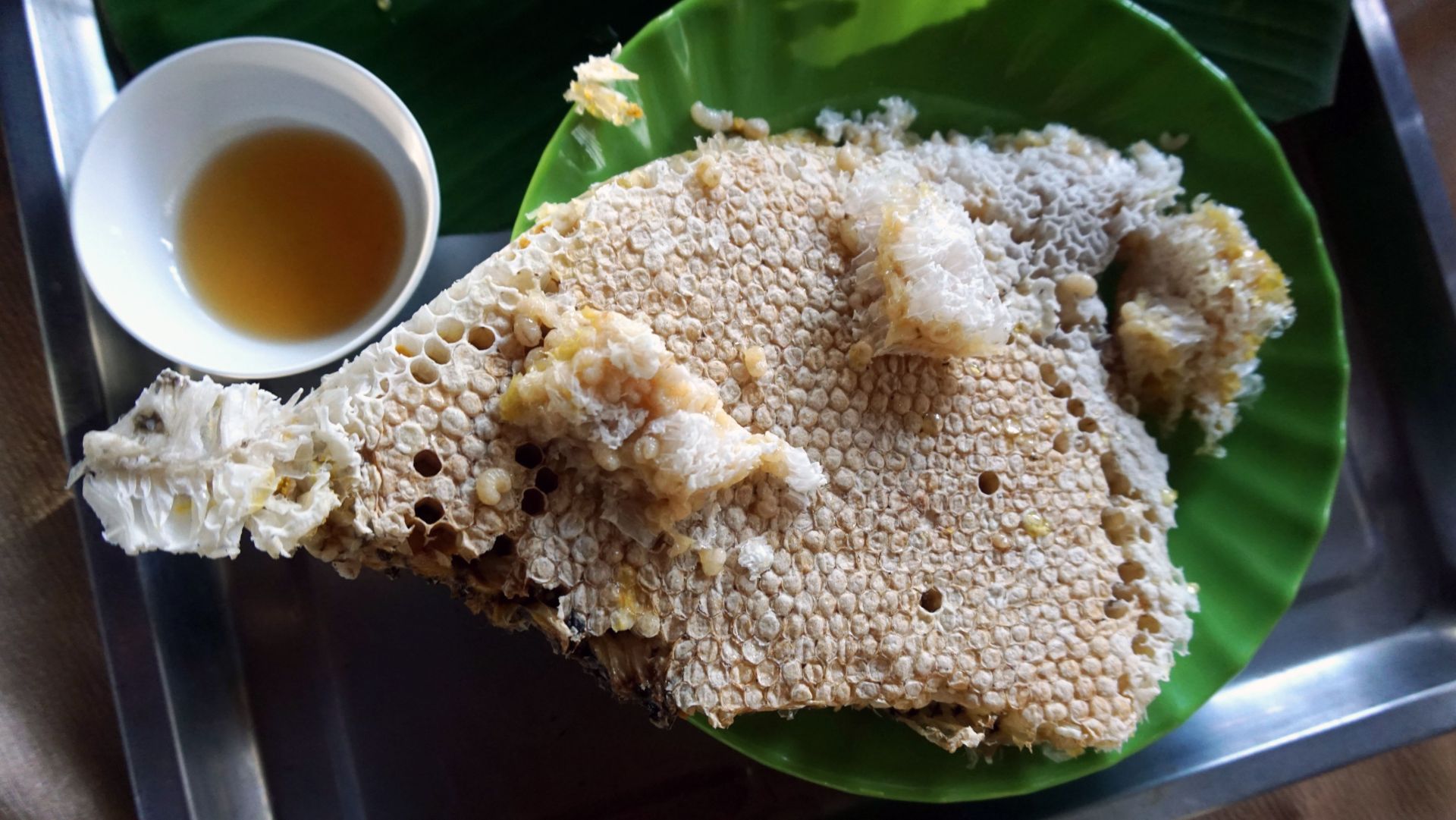 Mật ong đặc sản nổi tiếng của Vườn Quốc gia U MInh Hạ