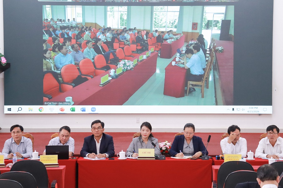 Ban Gi&aacute;m đốc Sở Y tế chủ tr&igrave; tham luận tại Hội nghị