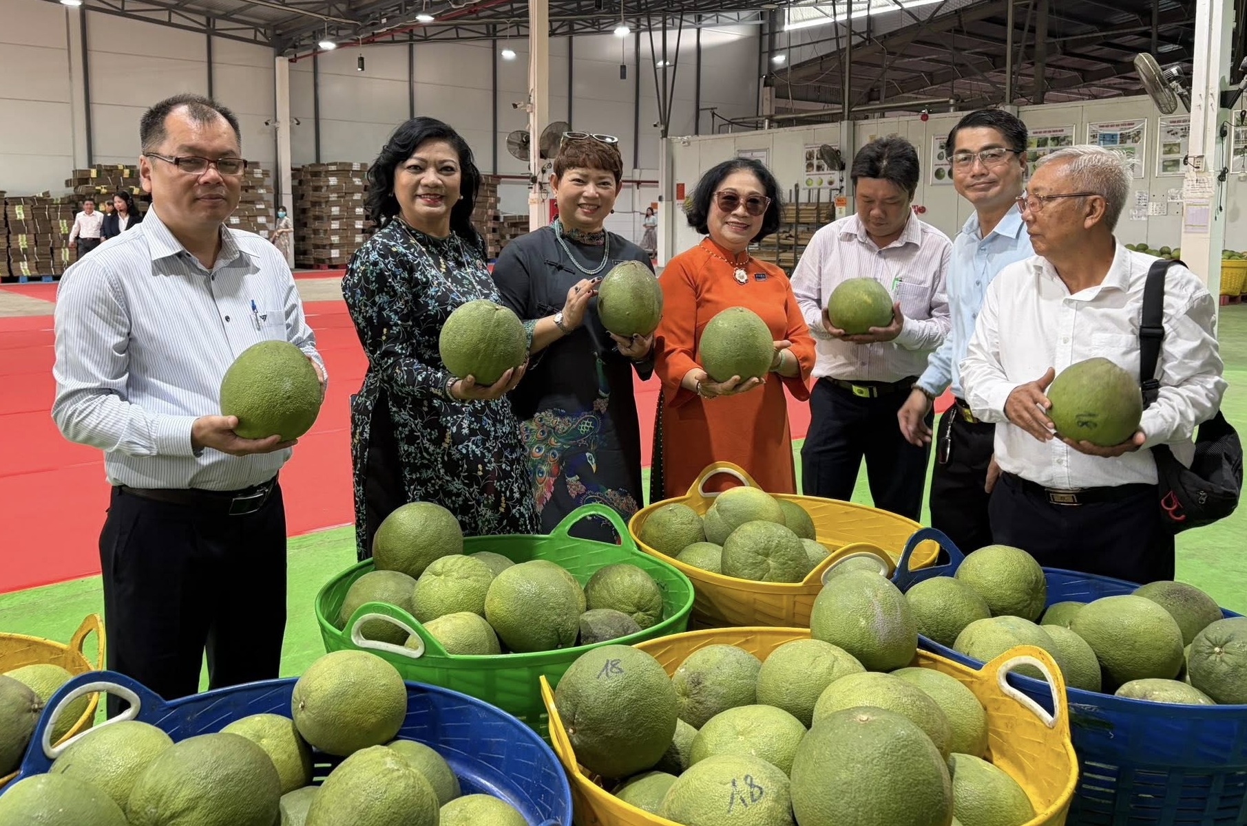 Bưởi Việt trước cơ hội bứt phá xuất khẩu: Muốn vào cuộc đua tỷ USD phải đi đường dài