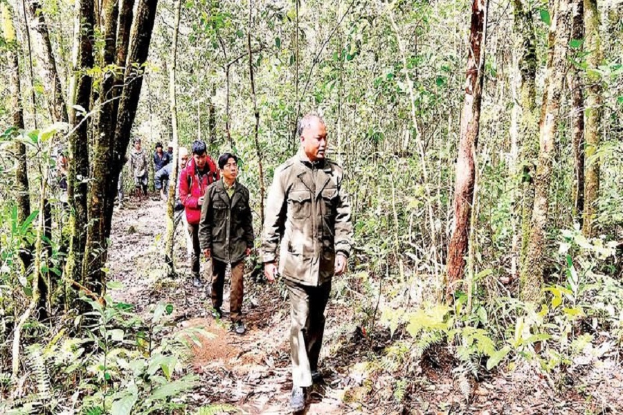 C&aacute;c lực lượng chức năng tăng cường tuần tra, canh g&aacute;c tại c&aacute;c khu vực nguy cơ cao ch&aacute;y rừng.