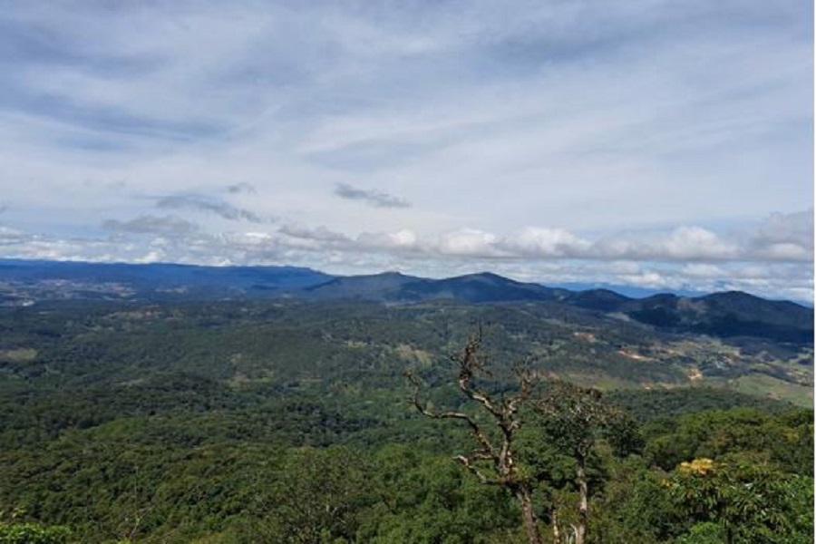 Những bước chân thầm lặng giữa đại ngàn Bidoup – Núi Bà