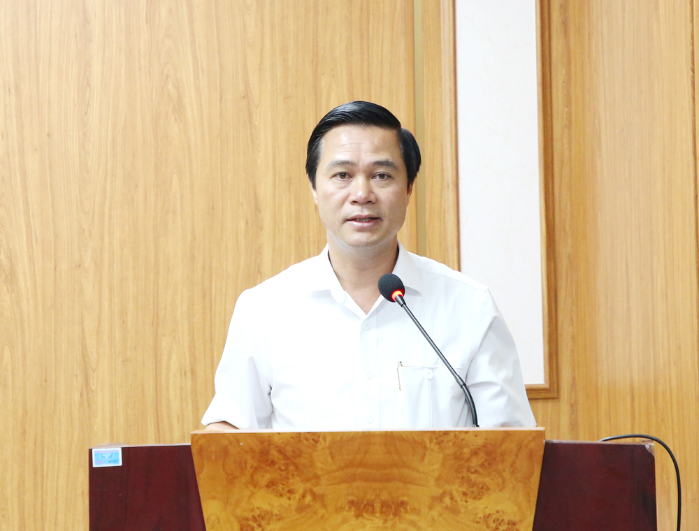 Đồng ch&iacute; L&ecirc; Xu&acirc;n Lợi, Ph&oacute; Chủ tịch UBND tỉnh ph&aacute;t biểu chỉ đạo tại cuộc họp.