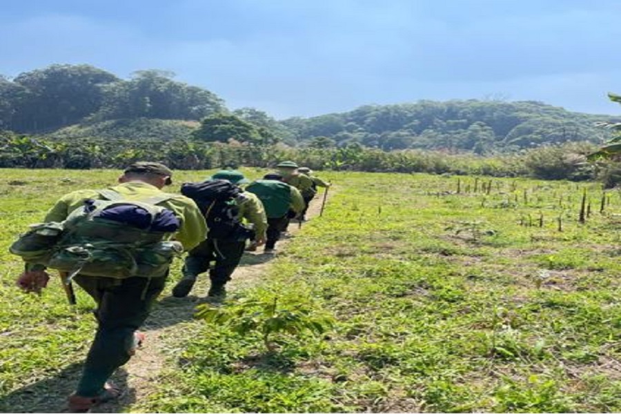 Những balo lu&ocirc;n sẵn s&agrave;ng cho nhiều ng&agrave;y d&agrave;i trong rừng&hellip;