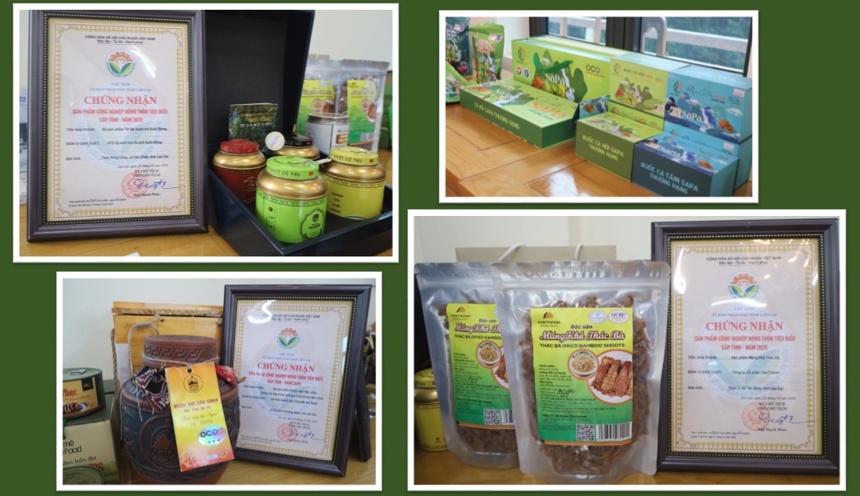 Giai đoạn 2026 - 2030, tỉnh L&agrave;o Cai phấn đấu 90% sản phẩm n&ocirc;ng, l&acirc;m, thủy sản chủ lực, đặc trưng v&agrave; sản phẩm OCOP được &aacute;p dụng truy xuất nguồn gốc điện tử