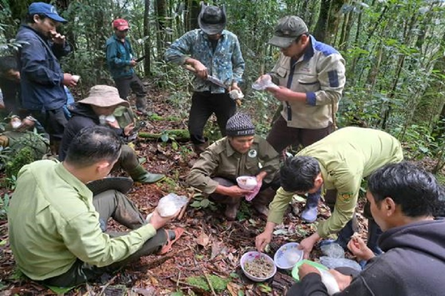 Sinh hoạt giữa rừng của c&aacute;c c&aacute;n bộ Kiểm l&acirc;m v&agrave; Người d&acirc;n bảo vệ rừng