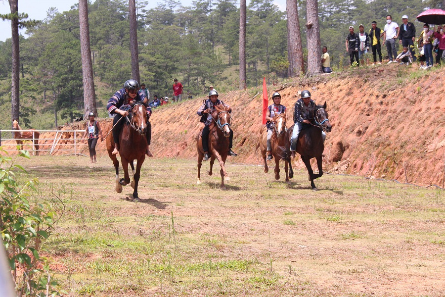 Đánh thức tài nguyên bản địa, mở hướng phát triển du lịch bền vững