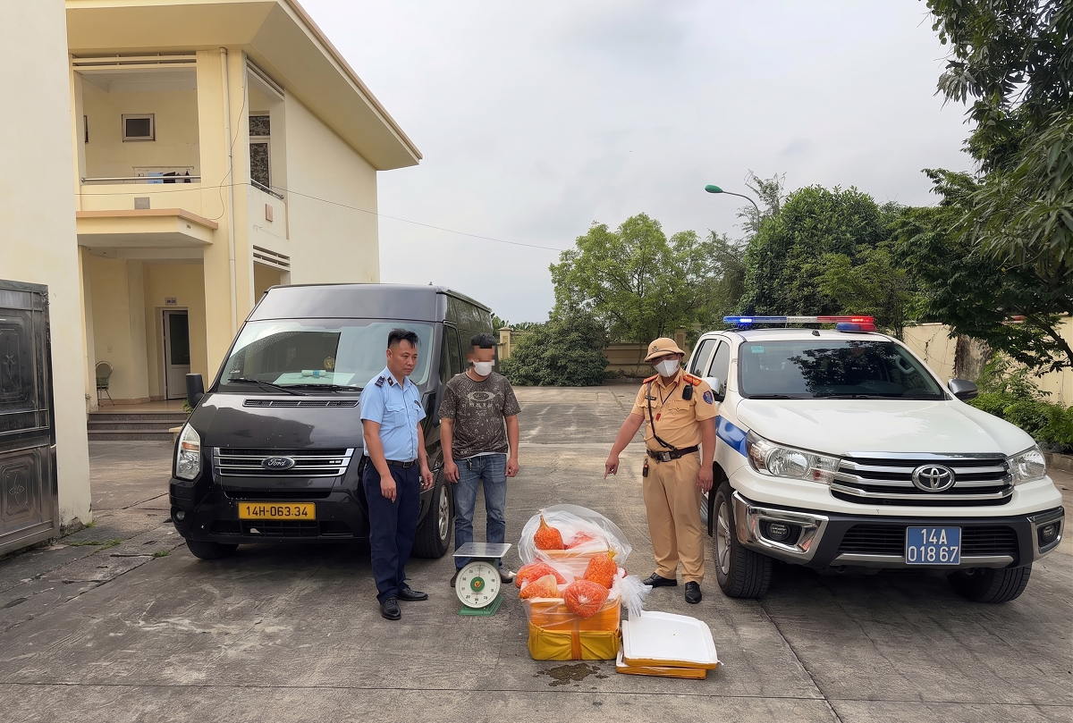 Quảng Ninh: Thu giữ và tiêu hủy 150 kg trứng gà non không rõ nguồn gốc trên quốc lộ 18