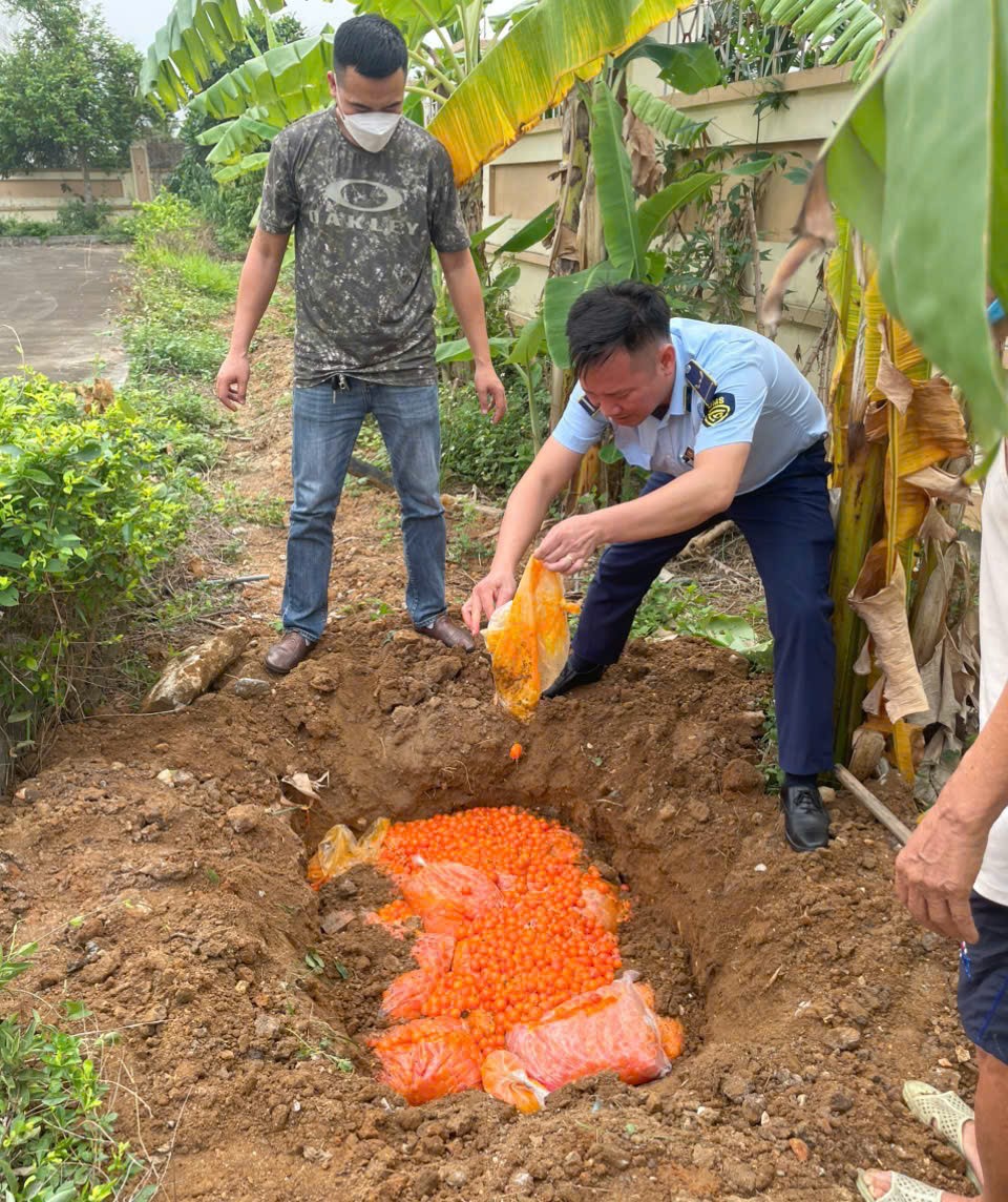 Lực lượng chức năng ti&ecirc;u hủy số trứng g&agrave; non kh&ocirc;ng r&otilde; nguồn gốc xuất xứ