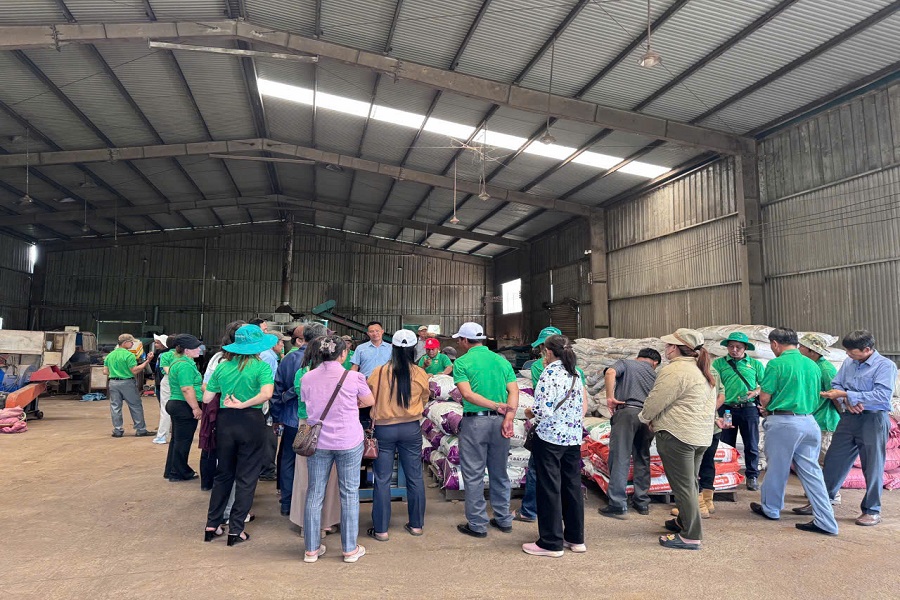 33 chi hội v&agrave; l&atilde;nh đạo Hội n&ocirc;ng d&acirc;n khu vực Đơn Dương đến học tập m&ocirc; h&igrave;nh