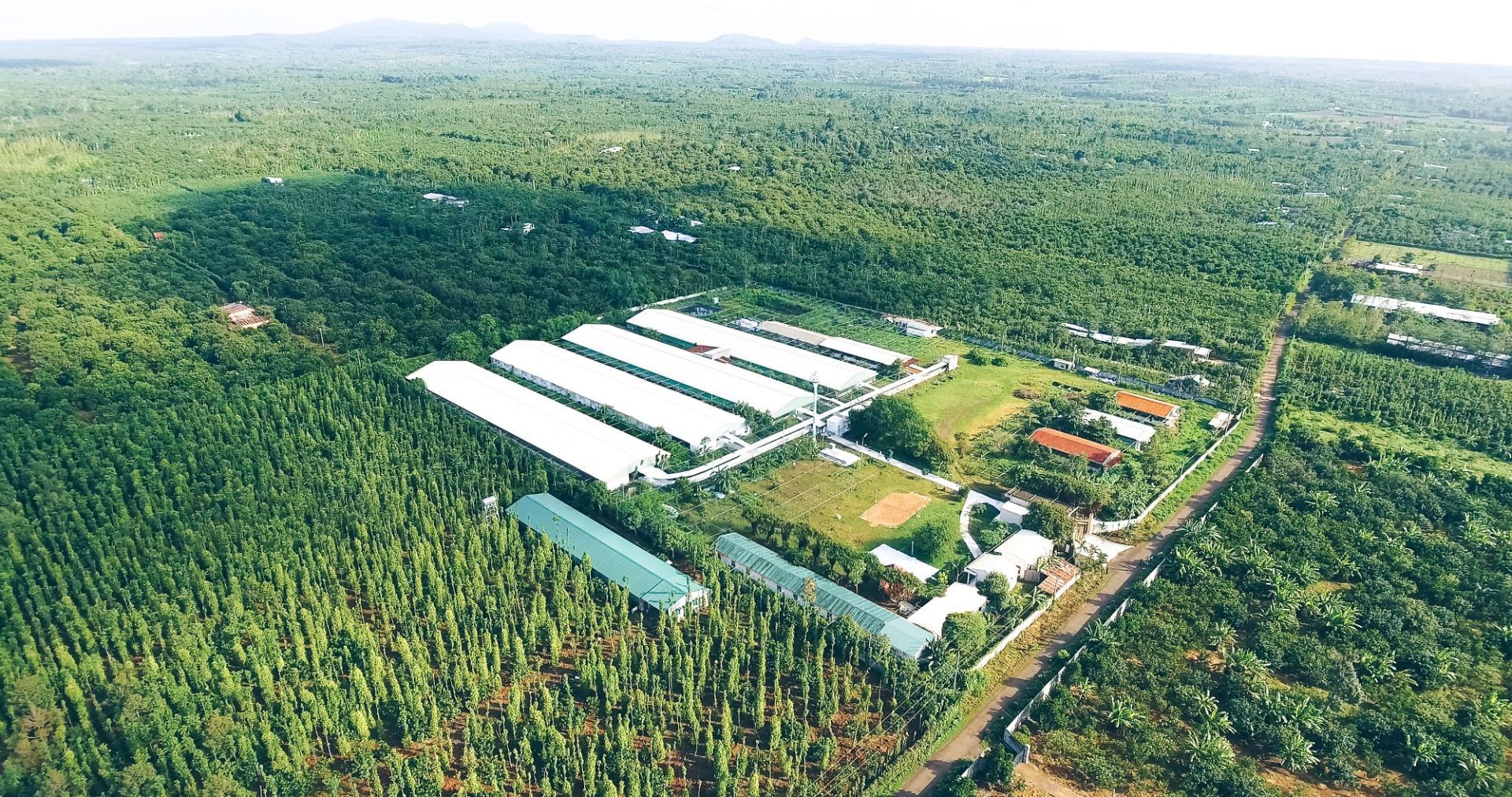 Tăng trưởng xanh: Điều kiện sống còn để doanh nghiệp giữ chỗ trên thị trường toàn cầu