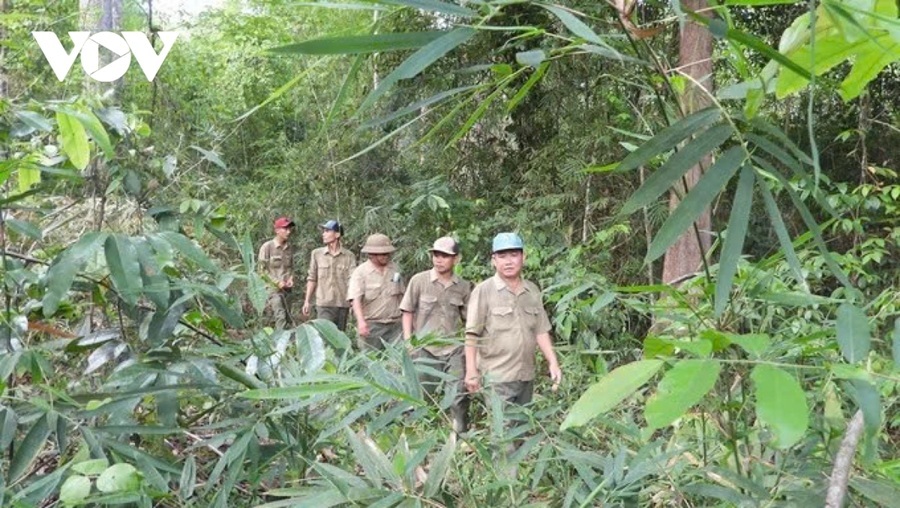 Tây Ninh tăng cường tuần tra, kiểm soát đốt đồng để phòng cháy rừng cao điểm
