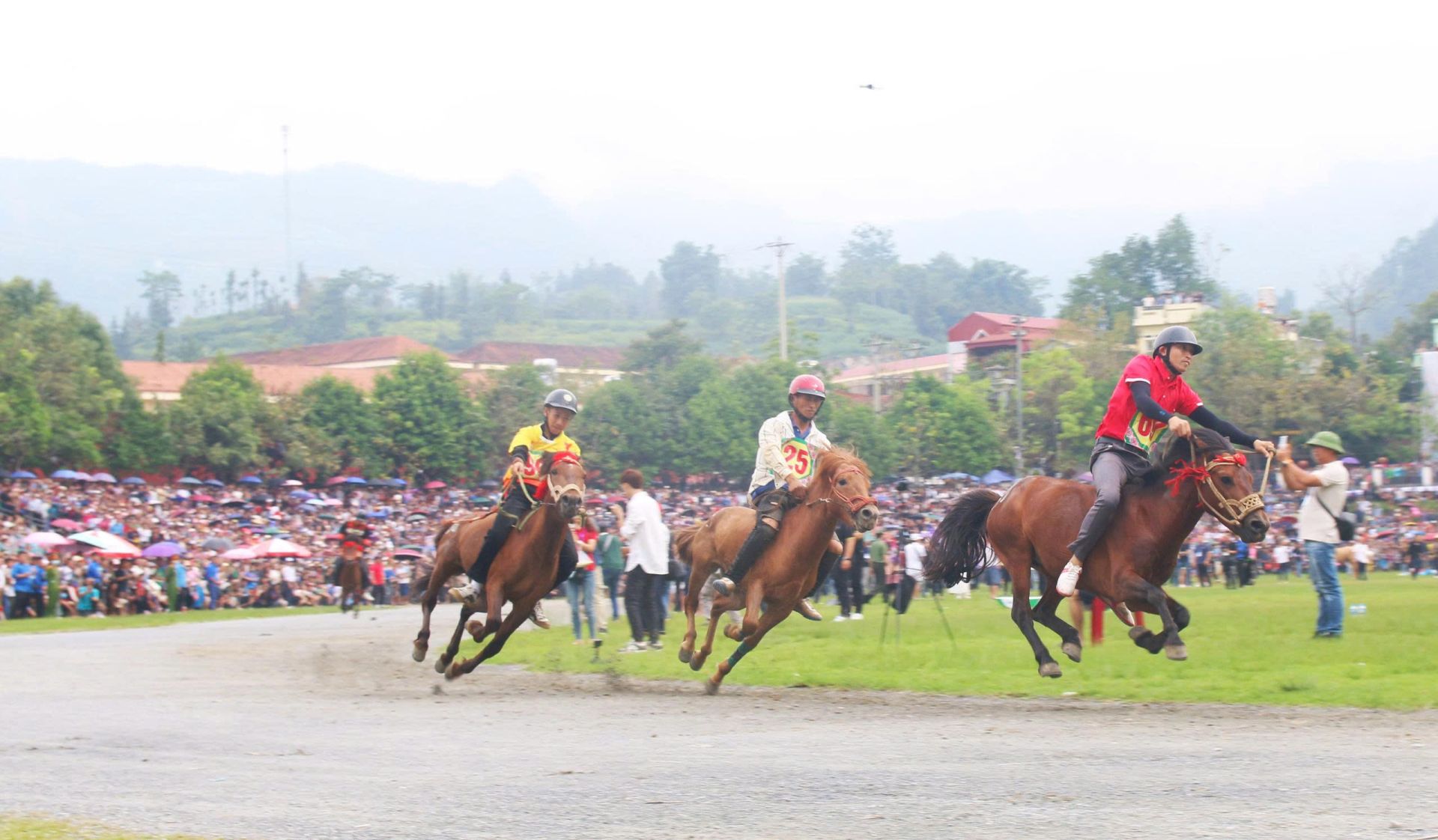 Festival mùa Hè Bắc Hà 2026: Tôn vinh di sản đua ngựa, lan tỏa bản sắc cao nguyên