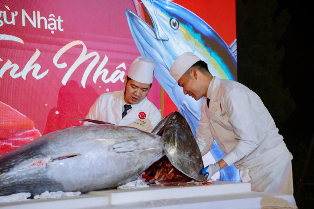 Tại Phố ẩm thực quốc tế - Hạ Long 2026, du kh&aacute;ch sẽ được trải nghiệm xẻ c&aacute; ngừ đại dương c&ugrave;ng c&aacute;c đầu bếp Nhật Bản