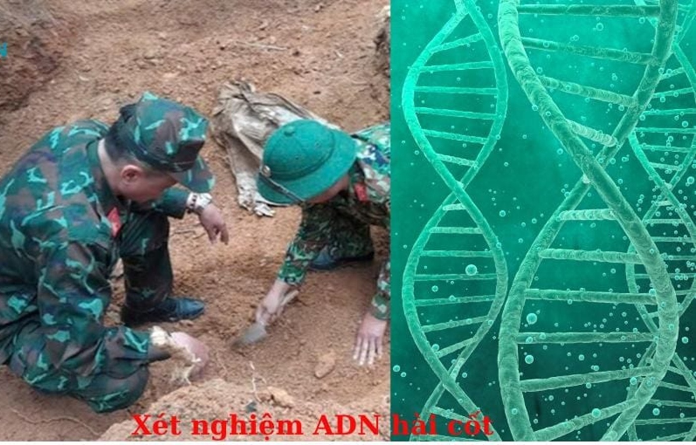 Bộ Quốc phòng ban hành quy trình chuẩn hóa lấy mẫu và lưu trữ hài cốt liệt sĩ phục vụ giám định ADN