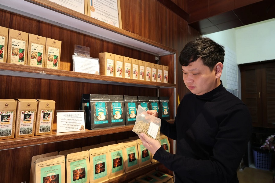 Anh B&ugrave;i Xu&acirc;n Thắng kiểm tra sản phẩm tại cơ sở Cầu Đất Bean, với định hướng canh t&aacute;c hữu cơ nhằm cải thiện m&ocirc;i trường đất v&agrave; n&acirc;ng cao chất lượng c&agrave; ph&ecirc;.