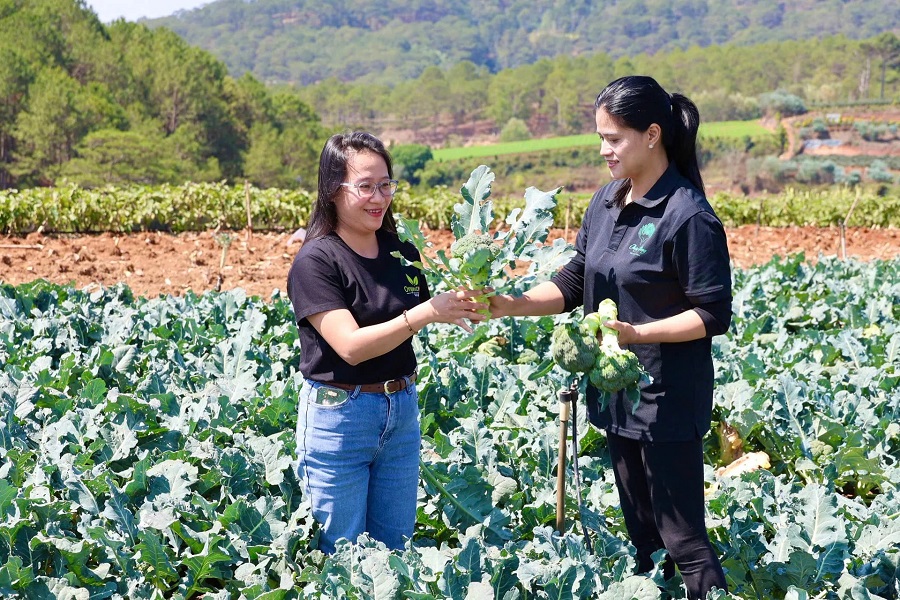Chị Phạm Thị Thu Th&uacute;y (phải), chủ n&ocirc;ng trại Th&uacute;y H&ugrave;ng Organic Farm trao đổi với đơn vị ti&ecirc;u thụ về chất lượng sản phẩm.