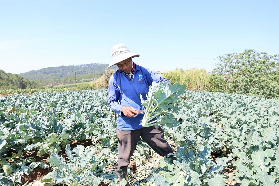 Chuyển đổi sang canh t&aacute;c hữu cơ bắt đầu từ y&ecirc;u cầu giảm phụ thuộc v&agrave;o vật tư h&oacute;a học, hướng tới cải thiện đất v&agrave; hệ sinh th&aacute;i sản xuất