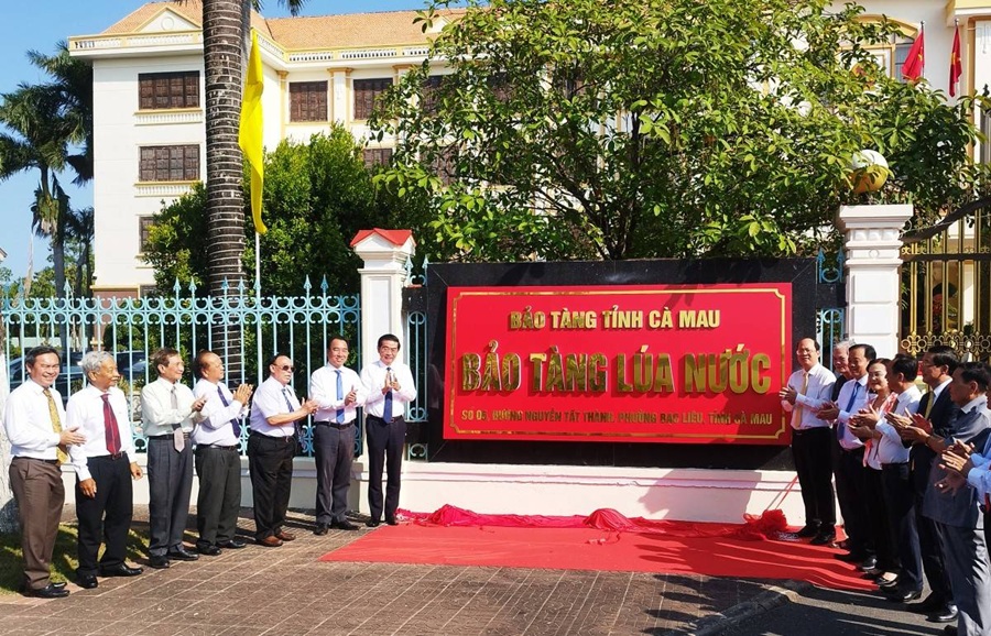 Cà Mau ra mắt Bảo tàng Lúa nước, tôn vinh hành trình chinh phục đất mặn vùng cực Nam