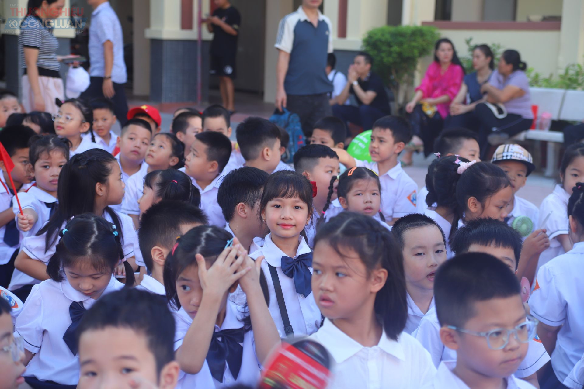 Thanh Hóa: Thành lập Trường liên cấp Tiểu học, THCS và THPT Tĩnh Gia