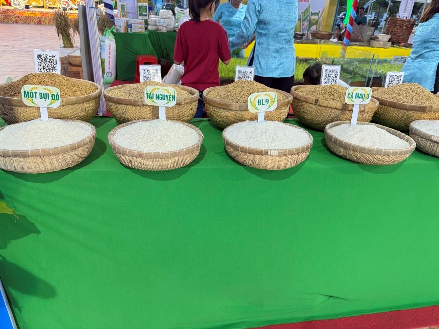 Điểm nhấn đ&aacute;ng ch&uacute; &yacute; l&agrave; Cuộc thi &ldquo;Gạo ngon ĐBSCL&rdquo; lần thứ I với 28 mẫu gạo của 28 đơn vị tham gia