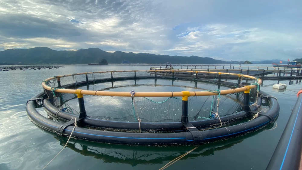 Khoa học công nghệ mở đường cho thủy sản Việt Nam tăng tốc