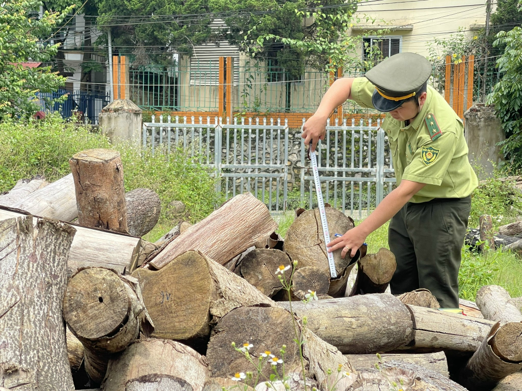 Chi cục Kiểm lâm tỉnh Cao Bằng: Xử lý 68 vụ vi phạm trong lĩnh vực lâm nghiệp