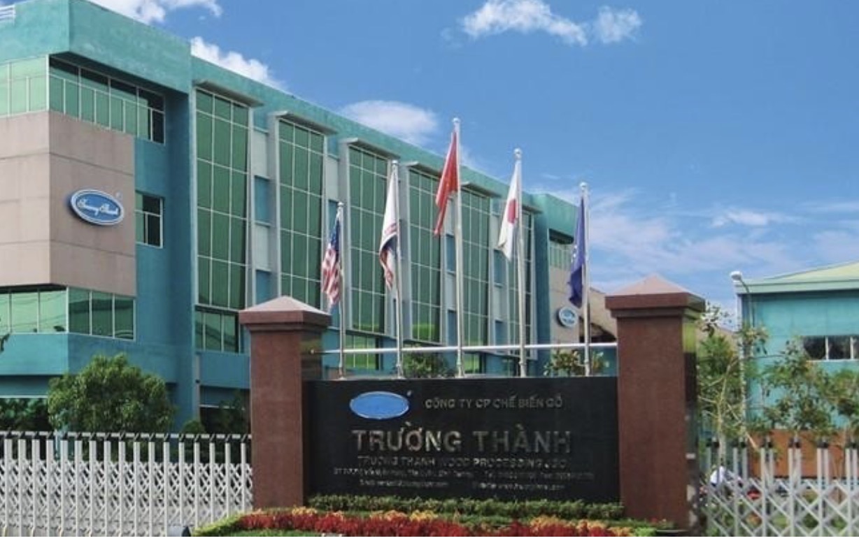 Gỗ Trường Thành tiếp tục báo lỗ trong quý I/2026, với mức âm 60,42 tỷ đồng