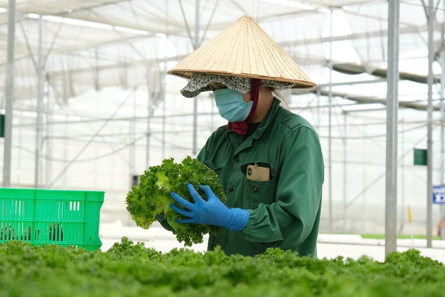 Lĩnh vực n&ocirc;ng nghiệp c&ocirc;ng nghệ cao đang c&oacute; nhu cầu rất lớn về nh&acirc;n lực chất lượng cao